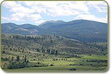 Mountains & meadow in our area