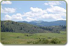Mountains & meadow in our area