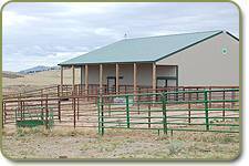Embryo Transfer Facility